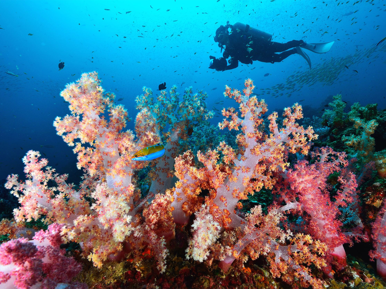 Similan Islands